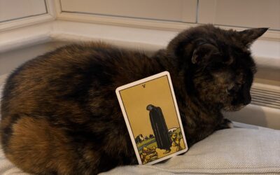 Turning towards what is still here: the medicine of the Five Cups